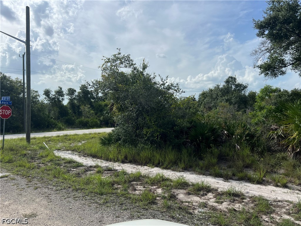 Acreage for Sale in Lehigh Acres, photo 8