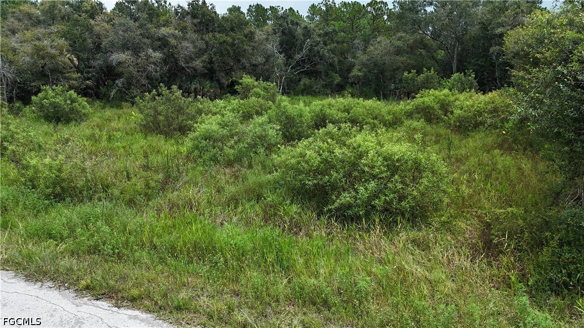 Residential for Sale in Lehigh Acres, FL, $27,999 — photo 8