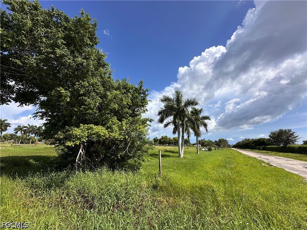 Acreage for Sale in Saddlewood Farms, photo 8