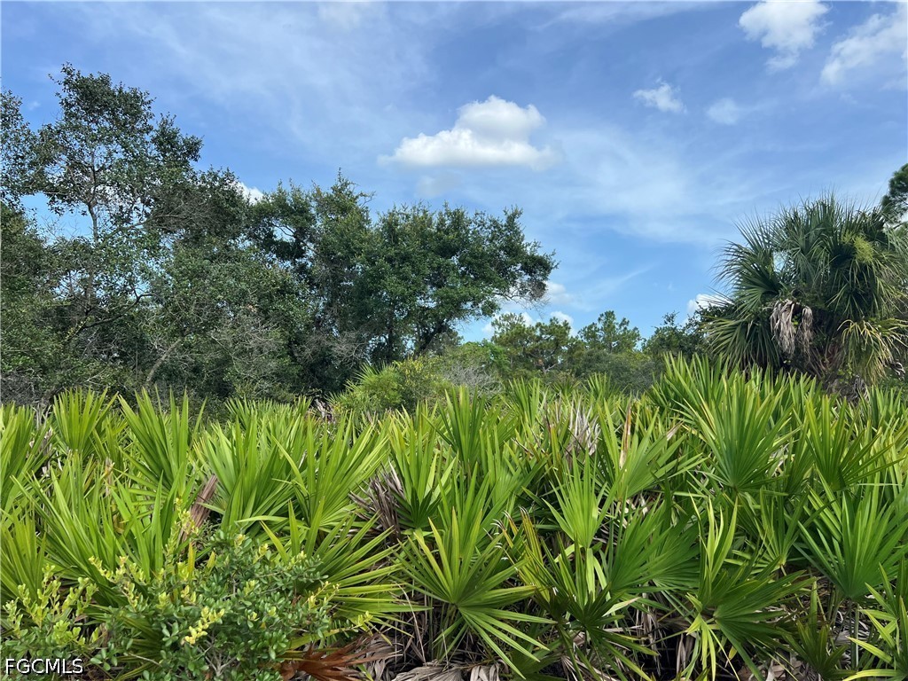 Acreage for Sale in Lehigh Acres, photo 9