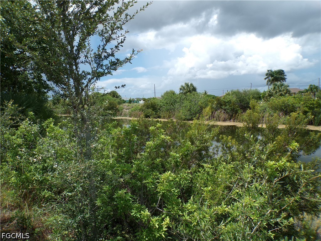 Waterfront Home for Sale in Cape Coral, photo 9