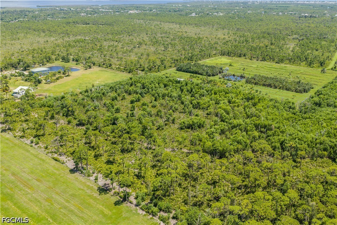 Acreage for Sale in St James City, photo 9