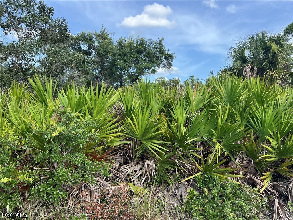 Acreage for Sale in Lehigh Acres, photo 10
